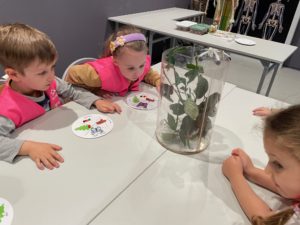 IMG_0887
