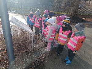 IMG_20250124_100218
