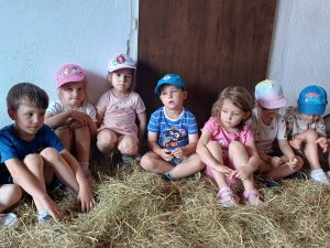 04569c0d-b183-458a-8bb3-bca6103e9e7b