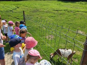 304efb8f-84cb-4e6c-b339-ceb2fc53871d