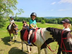 3d527c60-1d55-45ed-8e21-d8089014e4f3