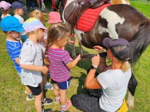 61e8012c-0190-4201-9294-855df68ed3c0