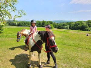 62ec6be9-68fb-4c0a-bb90-93e12d51c465