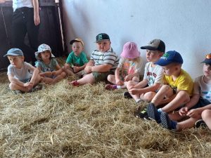 65bc3408-28af-4fdb-9e34-05167de4ba4c