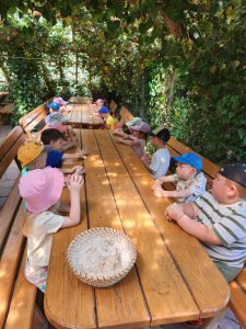 7506a878-49f4-48a6-befd-f59974c63c42