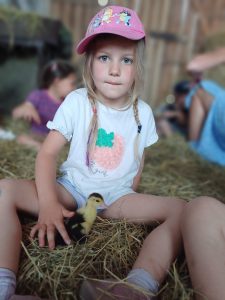 905ef7f4-5382-4cb9-933d-9a83261bbeb0