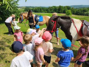 cd92596e-e599-491b-94e7-c7f7aba6fc07