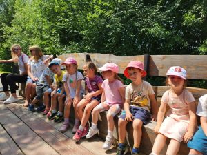 d12f97ee-cbda-4184-a022-49129b5f553a