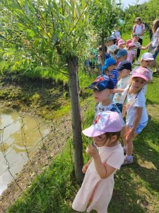 eab88026-152a-492a-9c45-d6ef863f285d