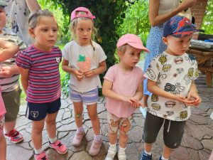 fd95523a-930d-4b12-a05c-fe5ededaa50f