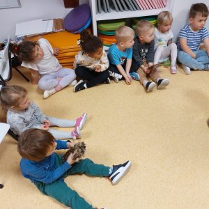 WhatsApp Image 2025-10-30 at 16.41.53